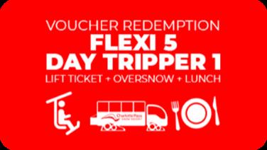 Image for: Flexi 5 - Day Tripper 1 (Ski or Board)